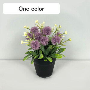  ͂Ȃ ۂ ԃCeA 񂹐A A ϗtA  ԑA { lH ȒPb炸 k ins  u[P    CeA