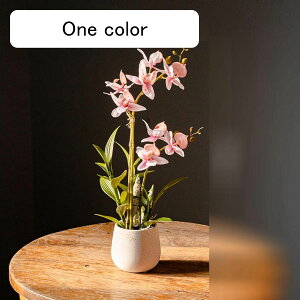 造花インテリア 鉢植え スルガラン 枯れない花 装飾花 観葉植物 陶器鉢 リアル 本物そっくり 水やり不要 おしゃれ モダン 玄関飾り 置き型 北欧 撮影 美術館 ホーム 庭園 キッチン オフィス