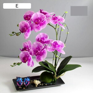 造花インテリア 胡蝶蘭 鉢植え アートフラワー 陶器 造花セット 枯れない花 装飾花 観葉植物 リアル 本物そっくり ミニ花器 お世話不要 北欧風 ins おしゃれ 贈り物 ガーデン 装飾 宴会 飾り