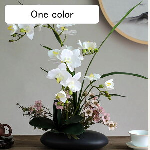 ԃCeA Ӓ ͂Ȃ  A[gt[ t[AWg ϗtA { ȒPb炸 ~jԊ  _ k 蕨 v[g p 