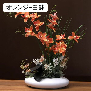  ͂Ȃ A[gt[ XK ԃCeA 픫 ϗtA  A { lHA ϗtA ͂Ȃ k ins  u[P   