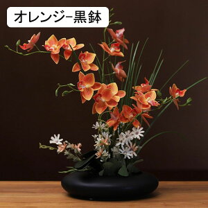  ͂Ȃ A[gt[ XK ԃCeA 픫 ϗtA  A { lHA ϗtA ͂Ȃ k ins  u[P   