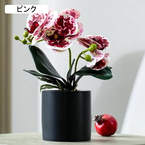 ԃCeA A Ӓ u ~͐A ͂Ȃ  ϗtA A { Q쏜sv  _ k K[f u 蕨 ʐ^Be K[fj