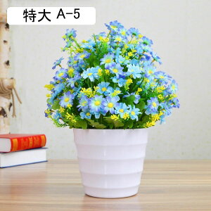  ͂Ȃ qiMN e ԃCeA ϗtA 񂹐A A  ԑ A { ~jԊ ȒPb炸 k A[g ins    CeA