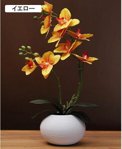  ͂Ȃ Ӓ tFCN A ԃCeA ~jԊ ϗtA  ԑ A { ȒPb炸  _ k    CeA