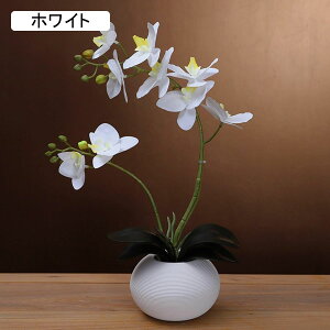  ͂Ȃ Ӓ tFCN A ԃCeA ~jԊ ϗtA  ԑ A { ȒPb炸  _ k    CeA