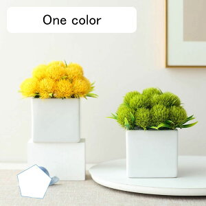 lH{[ }[Kbg qiMN e ԃCeA ͂Ȃ  ϗtA A { sv ԕr k A[g ins   X iX K[f u ʐ^