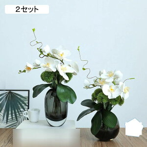 ԃZbg x_[ ԃCeA o Ӓ ԑ ͂Ȃ  ϗtA A { sv ԕr k A[g ins 蕨 v[g p  u[P