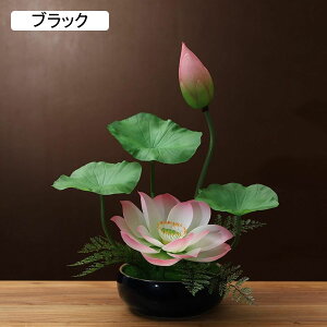 ԃCeA  ? u^ ͂Ȃ  ϗtA u A { Q쏜sv k A[g ins K[f u 蕨 ʐ^Be X fR[V 