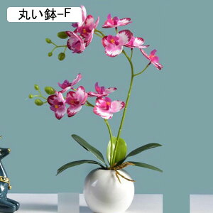  ͂Ȃ ~j Ӓ o x_[ ԃCeA ϗtA  A { ԕrt lH Q쏜sv  _ k ItBX 蕨 K[f