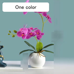  ͂Ȃ ~j Ӓ o x_[ ԃCeA ϗtA  A { ԕrt lH Q쏜sv  _ k ItBX 蕨 K[f