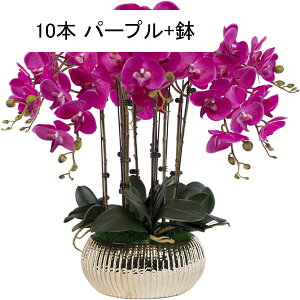 Ӓ  ͂Ȃ ԃCeA ϗtA  ԑA { ~jԊ ϗtA lH sv k ins  p[eB[ ItBX 蕨 K[f