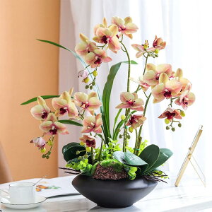 造花 枯れない花 胡蝶蘭 スルガラン 陶器鉢 造花インテリア アートフラワー 置き型 観葉植物 装飾花 リアル 本物そっくり ミニ花器 枯れない おしゃれ モダン 北欧 贈り物 ガーデン 装飾 宴