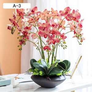  ͂Ȃ Ӓ XK 픫 ԃCeA A[gt[ u^ ϗtA  A { ~jԊ ͂Ȃ  _ k 蕨 K[f  