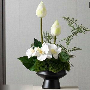  ԑ ԃO[  nX  tFCN { A[gt[ t[AWg ͂ȂO[  _ k K[f u 蕨 ʐ^Be