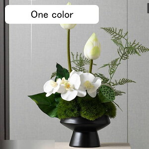  ԑ ԃO[  nX  tFCN { A[gt[ t[AWg ͂ȂO[  _ k K[f u 蕨 ʐ^Be