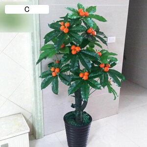 tFCNO[  ݂ ʕ lHϗtA CeAO[ lHt A { ^Ηt lHA ϗt ϗtA sv k A[g ins   