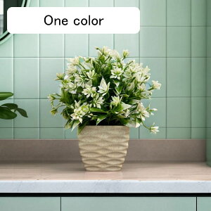 N`iV  ͂Ȃ ͂Ȃ ԃCeA ϗtA  A { ԕr ϗtA lH ȒPb炸  _ k 蕨 v[g p 