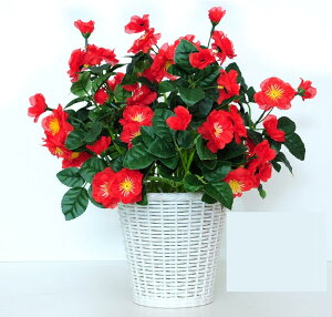  ͂Ȃ ԃCeA o XYmL ϗtA  A { ~jԊ lHA ϗtA ͂ȂO[ k ins 蕨 v[g p 