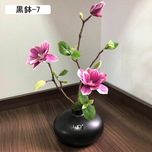 ԃCeA ͂Ȃ nNN  A[gt[ u t[AWg ϗtA A { bsv k A[g ins 蕨 v[g p 