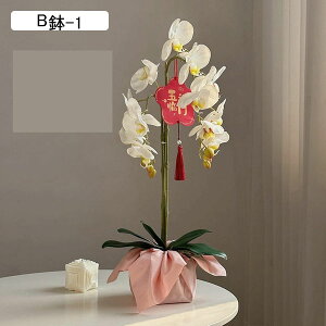 ԃCeA A A Ӓ ~jԊ ԑ ͂Ȃ  ϗtA A { bsv k A[g ins    CeA u fR[V