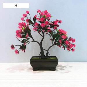 lHϗtA   A ~jϗt A { CeAO[ tFCNO[ ͂ȂO[ ϗtA lHt lHA ̓ hV̓ j NX