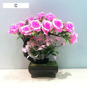 lHϗtA   A ~jϗt A { CeAO[ tFCNO[ ͂ȂO[ ϗtA lHt lHA ̓ hV̓ j NX