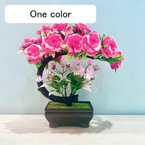 lHϗtA   A ~jϗt A { CeAO[ tFCNO[ ͂ȂO[ ϗtA lHt lHA ̓ hV̓ j NX