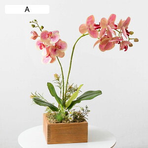 ԃCeA Ӓ A ԃJS A ͂Ȃ  ϗtA A { bsv ~jԊ  _ k   X iX K[f u 