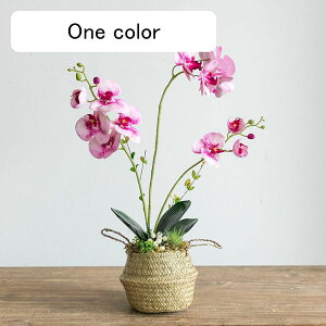 造花インテリア 胡蝶蘭 鉢植え 花カゴ 植物装飾 枯れない花 装飾花 観葉植物 リアル 本物そっくり お世話不要 ミニ花器 おしゃれ モダン 北欧 家 事務所 店 喫茶店 ガーデン飾り 装飾置物 贈