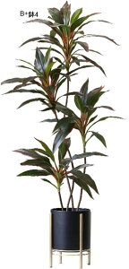 tFCNO[ AJV hZi Zl\E A lHt ^ lHϗtA { lHA ϗt CeAO[ sv X /O z[K[