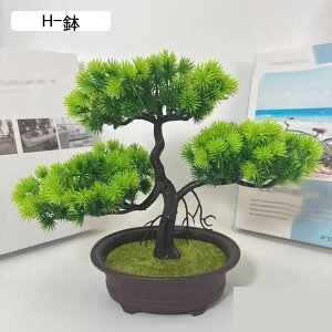 tFCNO[  ϗt A ~j A u lHϗtA CeAO[ ^ { ϗtA lHA sv Q쏜sv  p[eB[̌