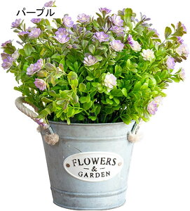 ݑ lH{[ ԃCeA ԑ ͂Ȃ  ͂ȂO[  ϗtA A { bsv ԕrt k A[g ins 蕨 v[g p 