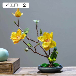 nNN ԃCeA u 픫 A[gt[ ԑ ͂Ȃ  ϗtA A { sv k ins  K[f u 蕨 ʐ^B