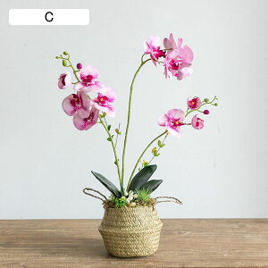 胡蝶蘭 ミニ花器 鉢植え 花カゴ 造花インテリア 花束 卓上置き 枯れない花 装飾花 観葉植物 リアル 本物そっくり 枯れない 北欧 アート ins ガーデン飾り 装飾置物 贈り物 写真撮影 玄関飾り