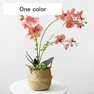 胡蝶蘭 ミニ花器 鉢植え 花カゴ 造花インテリア 花束 卓上置き 枯れない花 装飾花 観葉植物 リアル 本物そっくり 枯れない 北欧 アート ins ガーデン飾り 装飾置物 贈り物 写真撮影 玄関飾り