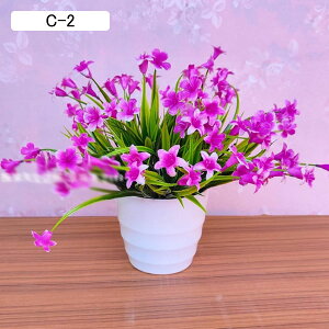 lHA  ͂Ȃ ϗtA A ԃCeA A { ~jԊ  _ k   X iX K[f u 蕨 ʐ^Be