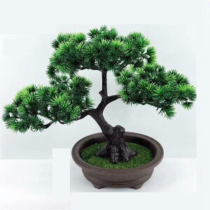 tFCNO[ A  ~j A u lHϗtA CeAO[ lHt { ϗtA ϗt lHA ͂Ȃ sv K[f   