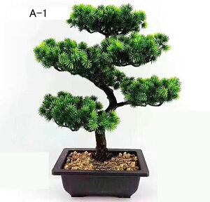 tFCNO[ A  ~j A u lHϗtA CeAO[ lHt { ϗtA ϗt lHA ͂Ȃ sv K[f   