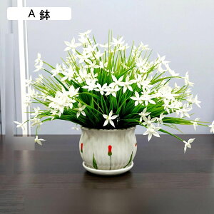  ͂Ȃ JX~\E ԃCeA ϗtA  ԑA { ԕrt lHA ϗtA ȒPb炸  _ k u 蕨 ʐ^Be