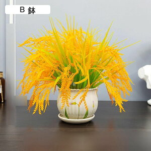  ͂Ȃ JX~\E ԃCeA ϗtA  ԑA { ԕrt lHA ϗtA ȒPb炸  _ k u 蕨 ʐ^Be