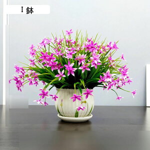  ͂Ȃ JX~\E ԃCeA ϗtA  ԑA { ԕrt lHA ϗtA ȒPb炸  _ k u 蕨 ʐ^Be