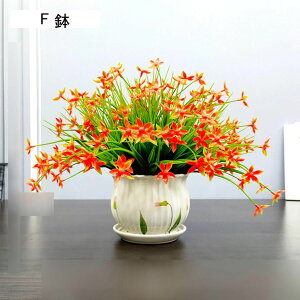  ͂Ȃ JX~\E ԃCeA ϗtA  ԑA { ԕrt lHA ϗtA ȒPb炸  _ k u 蕨 ʐ^Be