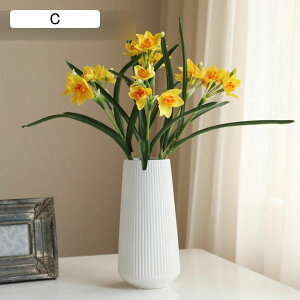 ԃCeA   ԑ ԑ ͂Ȃ ԕrt  tFCN ϗtA A { Q쏜sv k ins  蕨 v[g p  u[