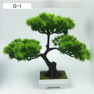 tFCNO[  ~j A ϗt CeAO[ A u u lHϗtA { lHA lHt ͂Ȃ sv i` ԉ A 