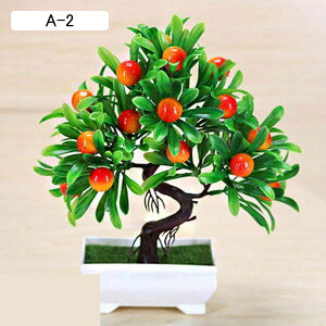 tFCNO[ ~j A  ϗt UN  CeAO[ ^Ηt A { ϗtA lHA bsv ͂ȂO[ A ̓Mtg u