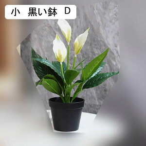 ԃZbg ԃCeA |gX 񂵂 ݑ ԑ ͂Ȃ  ϗtA A { sv ~jԊ  _ k hV̓ j 