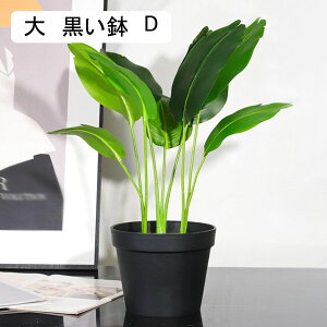 ԃZbg ԃCeA |gX 񂵂 ݑ ԑ ͂Ȃ  ϗtA A { sv ~jԊ  _ k hV̓ j 