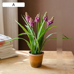 ԃCeA x_[ XY  ͂Ȃ A  ϗtA { sv k A[g ins   iX  K[f u 蕨 ʐ^B