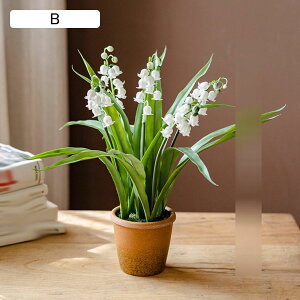 ԃCeA x_[ XY  ͂Ȃ A  ϗtA { sv k A[g ins   iX  K[f u 蕨 ʐ^B